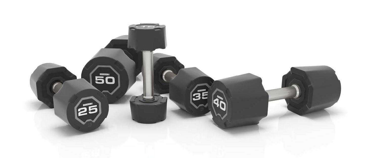 SBX DUMBBELLS.