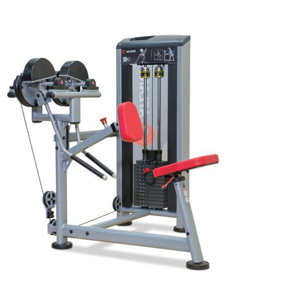 Seated Side / Rear Deltoid